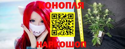 спиды Владикавказ