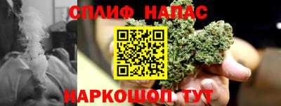дмт Владимир