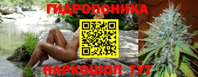 дмт Владимир