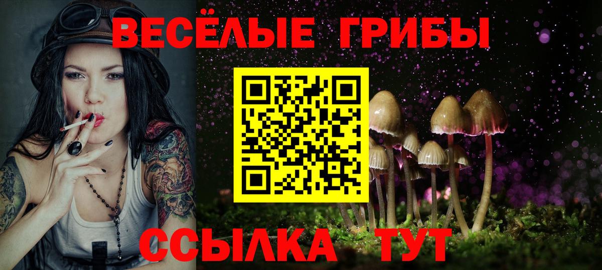 Верхняя Пышма  Псилоцибиновые грибы Psilocybe  Вход с VPN  где можно купить наркотик  Галлюциногенные грибы мицелий 